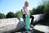Tempish Buffy Natur skateboard 